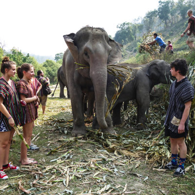 Thailande - bain avec les elephants 1