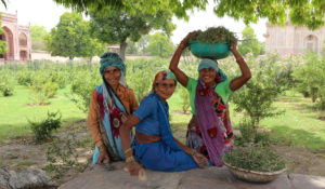 Inde - 3 femmes