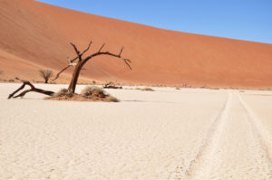 Namibie - Desert du namib Sossusvlei 1