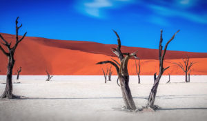 La Namibie désert de sel