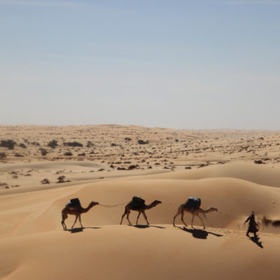 Mauritanie - Dans le désert de l'Adrar 5