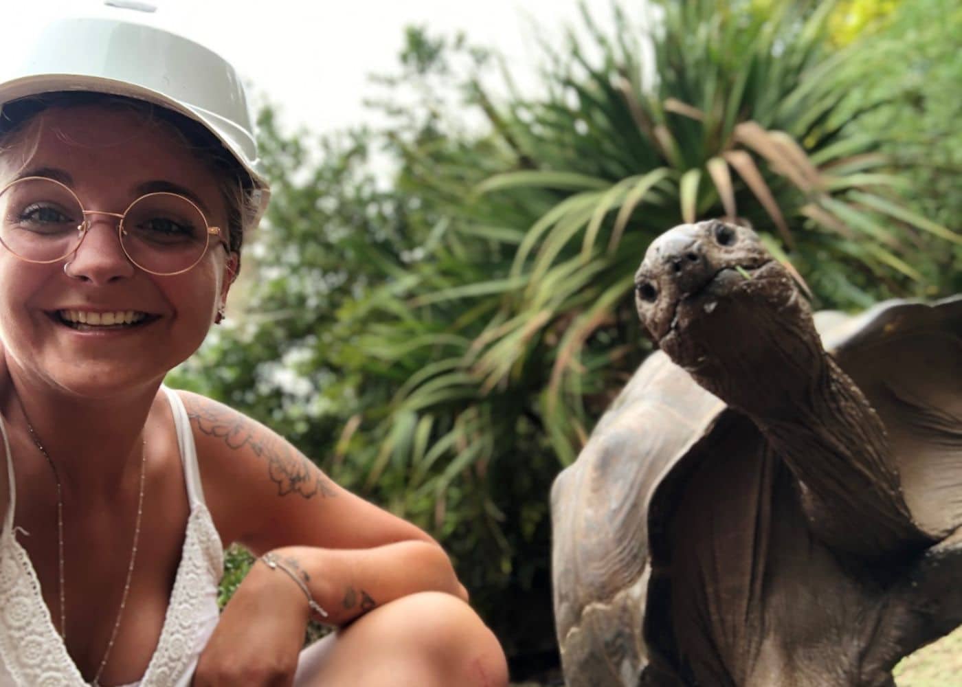 Grandir Aventure - Rodrigues tortue