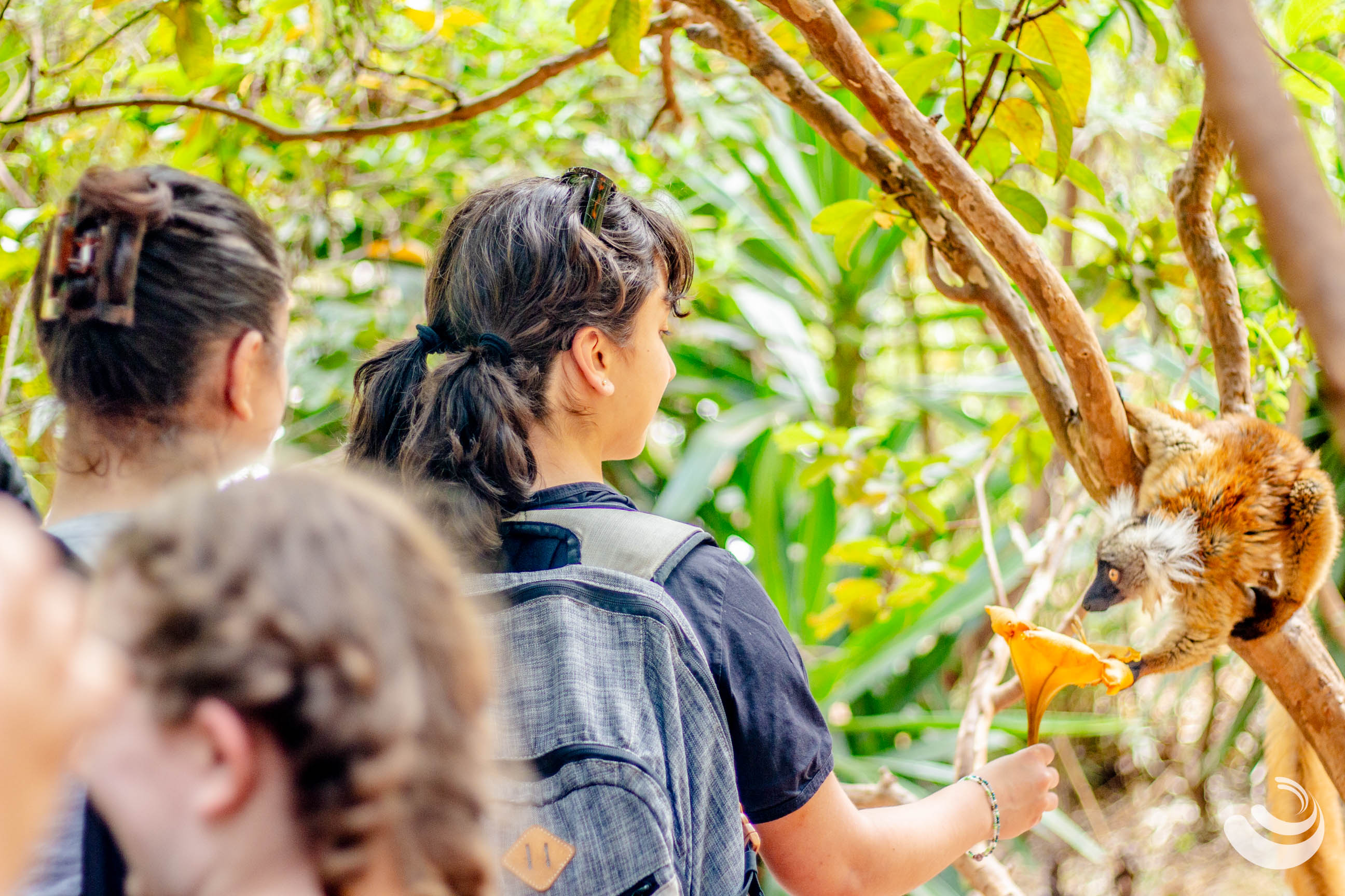 Madagascar-Tana-Lemurs-Park-Faranah-Byvoka-29